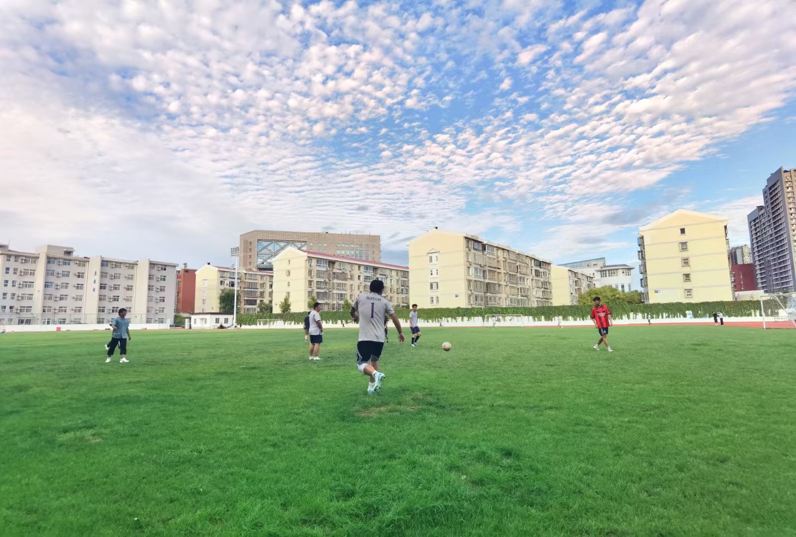 绿茵场上