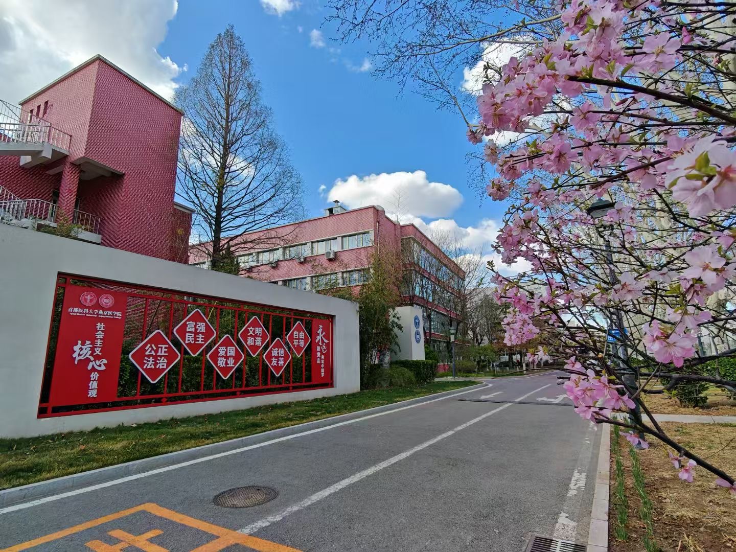 同人小说
核心加值观.JPG